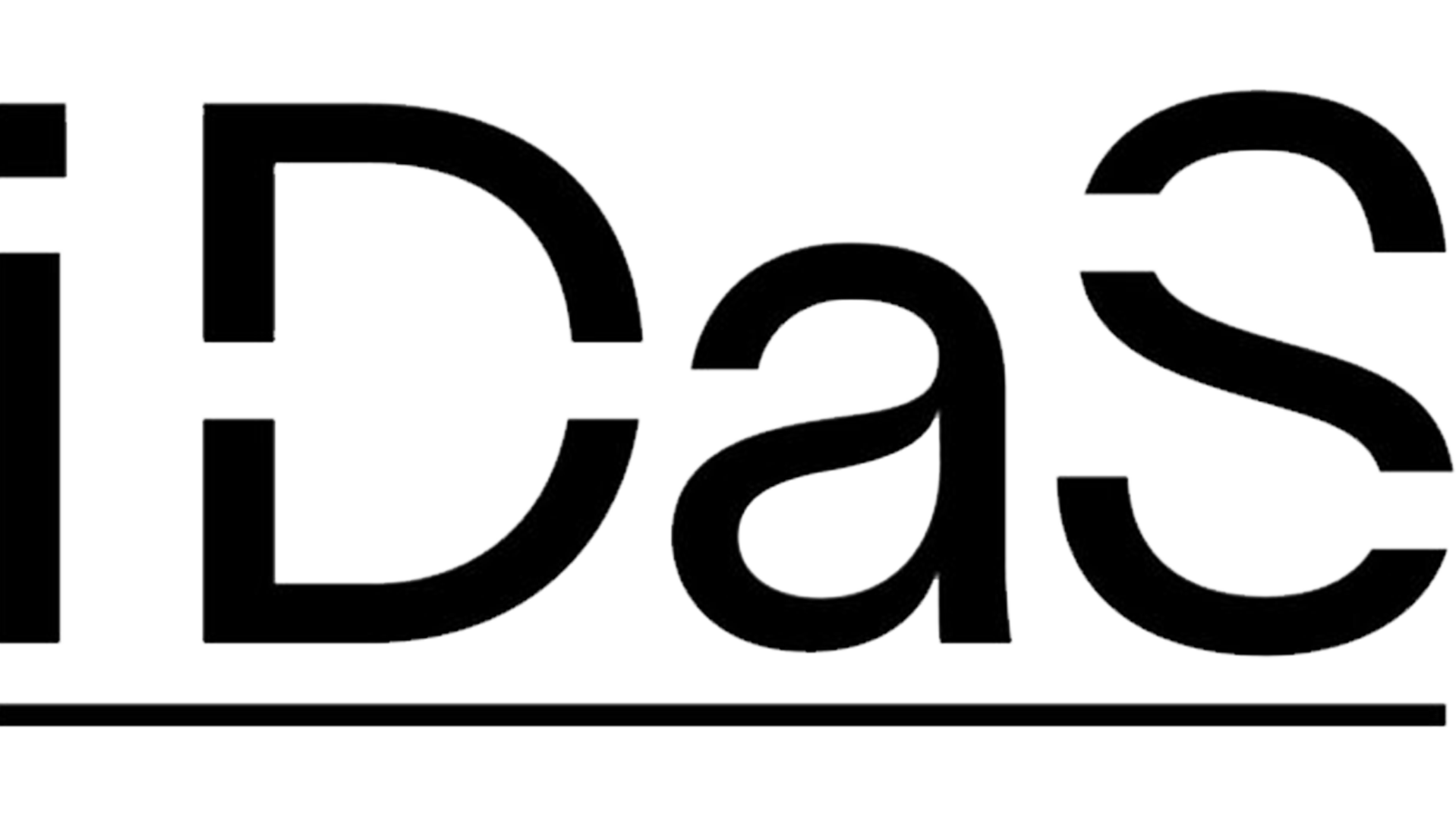  Institute für Data Sciences Solutions (IDaS)
